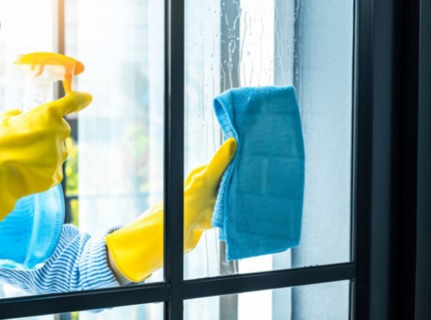 Window Cleaning Service